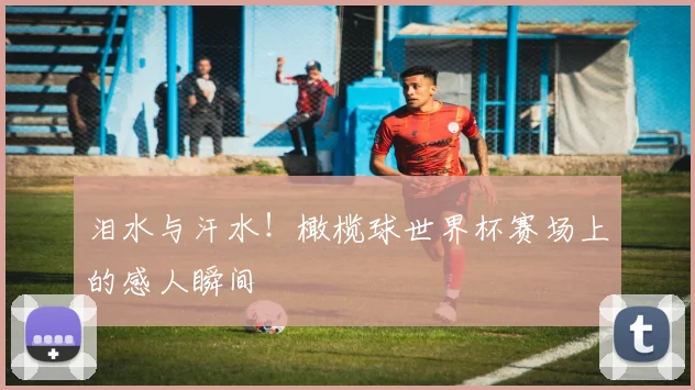 泪水与汗水！橄榄球世界杯赛场上的感人瞬间