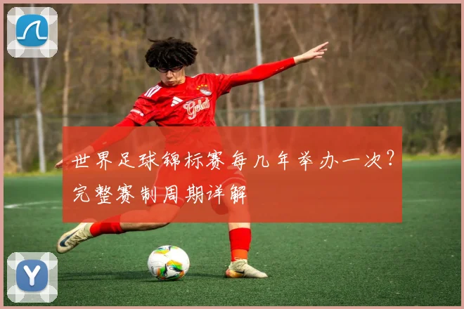 世界足球锦标赛每几年举办一次?完整赛制周期详解