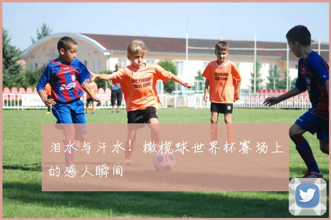 泪水与汗水!橄榄球世界杯赛场上的感人瞬间